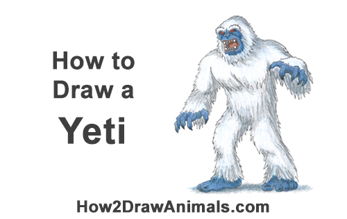 Draw a Yeti Abominable Snowman How to Draw a Yeti Abominable Snowman Monster Color