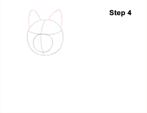 Yorkie Dog Drawing 4 Draw Yorkshire Terrier 4