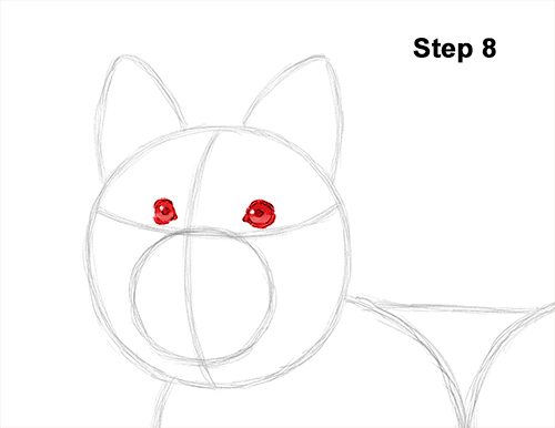 Draw Yorkshire Terrier 8