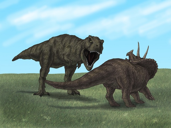 T. rex Triceratops Drawing