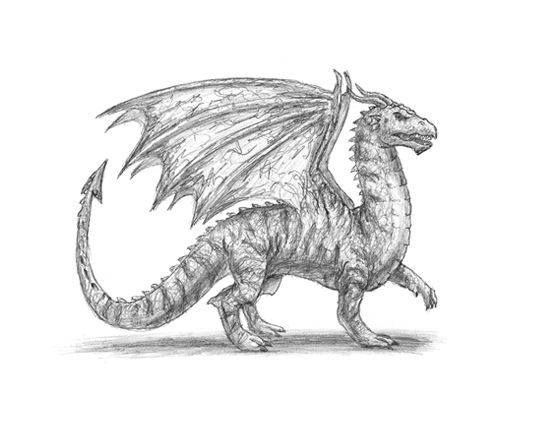Dragon How to Draw a Medieval Dragon Side Wings