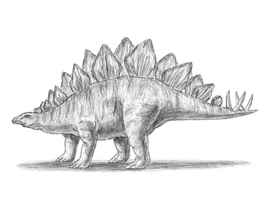 How to Draw a Stegosaurus