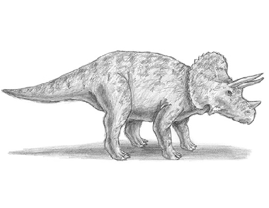 How to Draw a Triceratops